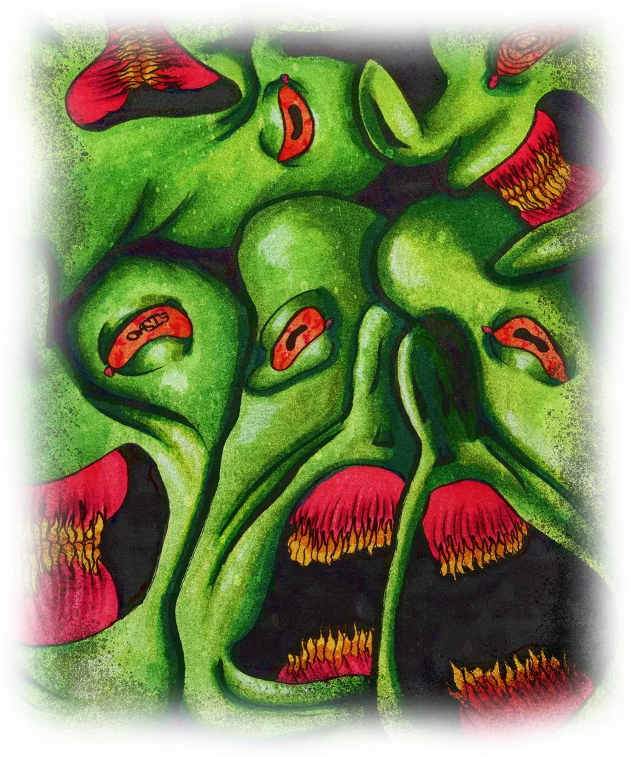 OASIS old green and red print artwork
